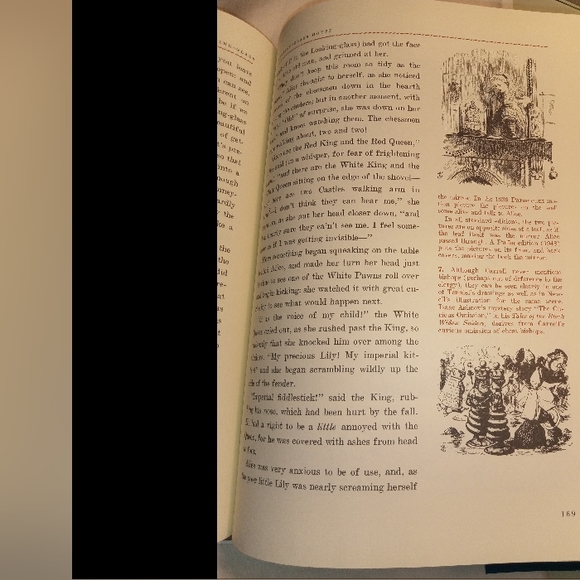 Alice in Wonderland Into the Looking Glass (Book) - Picture 14 of 17